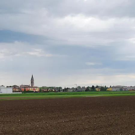Agrisesto