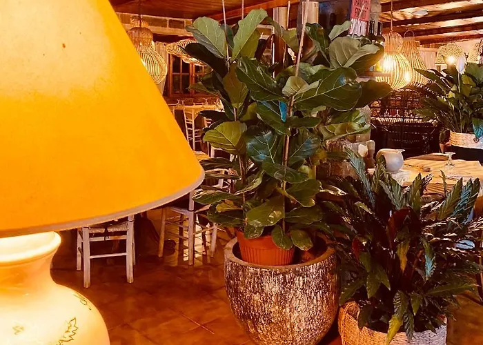 Alojamento de Acomodação e Pequeno-almoço Agrisesto Fregenae