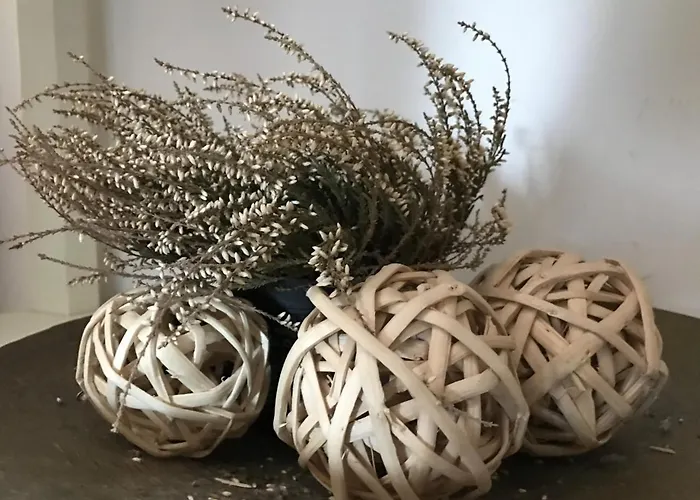 Alojamento de Acomodação e Pequeno-almoço Agrisesto Fregenae