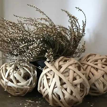 Couette-café Agrisesto Fregenae